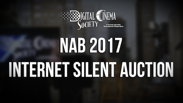 DCS Silent Auction 2017