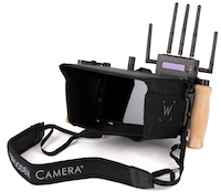 239000 directors monitor cage v2 21