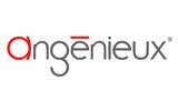 Angenieux 6/11